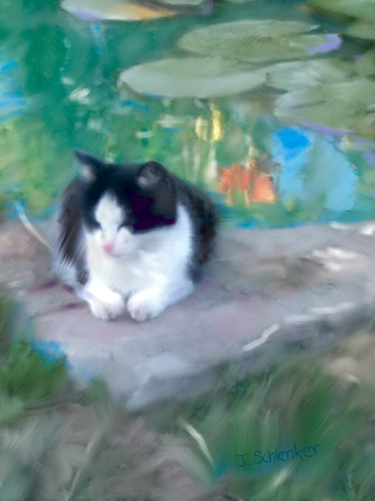 Cat by Pond